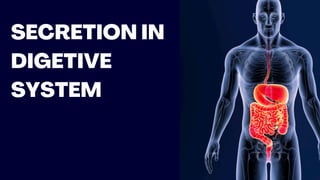 SECRETION IN
DIGETIVE
SYSTEM
 
