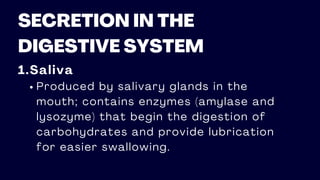 SECRETION IN THE
DIGESTIVE SYSTEM
1.Saliva
Produced by salivary glands in the
mouth; contains enzymes (amylase and
lysozyme) that begin the digestion of
carbohydrates and provide lubrication
for easier swallowing.
 