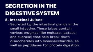 SECRETION IN THE
DIGESTIVE SYSTEM
5. Intestinal Juices
Secreted by the intestinal glands in the
small intestine. These juices contain
various enzymes (like maltase, lactase,
and sucrase) that help break down
disaccharides into monosaccharides, as
well as peptidases for protein digestion.
 