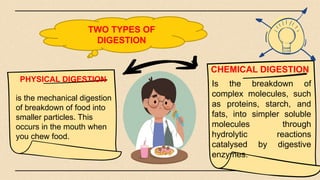 TWO TYPES OF
DIGESTION
Is the breakdown of
complex molecules, such
as proteins, starch, and
fats, into simpler soluble
molecules through
hydrolytic reactions
catalysed by digestive
enzymes.
is the mechanical digestion
of breakdown of food into
smaller particles. This
occurs in the mouth when
you chew food.
PHYSICAL DIGESTION
CHEMICAL DIGESTION
 