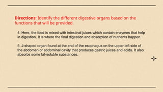 Directions: Identify the different digestive organs based on the
functions that will be provided.
4. Here, the food is mixed with intestinal juices which contain enzymes that help
in digestion. It is where the final digestion and absorption of nutrients happen.
5. J-shaped organ found at the end of the esophagus on the upper left side of
the abdomen or abdominal cavity that produces gastric juices and acids. It also
absorbs some fat-soluble substances.
 