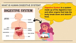 WHAT IS HUMAN DIGESTIVE SYSTEM?
Digestive System is a system
made up of the digestive tract
and other organs that help the
body break down and absorb
food.
 