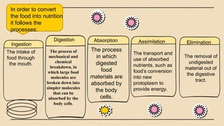 In order to convert
the food into nutrition
it follows the
processes:
The intake of
food through
the mouth.
Ingestion
Digestion Absorption
The process
in which
digested
food
materials are
absorbed by
the body
cells.
Assimilation
The transport and
use of absorbed
nutrients, such as
food’s conversion
into new
protoplasm to
provide energy.
The process of
mechanical and
chemical
breakdown, in
which large food
molecules are
broken down into
simpler molecules
that can be
absorbed by the
body cells.
Elimination
The removal of
undigested
material out of
the digestive
tract.
 