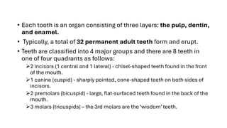 Comprehensive Overview of the Human Digestive System and Its Functions ...