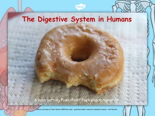 A task setting PowerPoint Pack about digestion.
The Digestive System in Humans
Photo courtesy of Sam Howzit (@flickr.com) - granted under creative commons licence - attribution
 