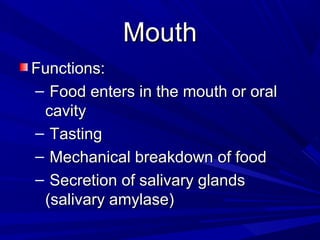 MouthMouth
Functions:Functions:
– Food enters in the mouth or oralFood enters in the mouth or oral
cavitycavity
– TastingTasting
– Mechanical breakdown of foodMechanical breakdown of food
– Secretion of salivary glandsSecretion of salivary glands
(salivary amylase)(salivary amylase)
 