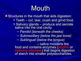 MouthMouth
Structures in the mouth that aids digestion:Structures in the mouth that aids digestion:
Teeth – cut, tear, crush and grind food.Teeth – cut, tear, crush and grind food.
Salivary glands – produce and secreteSalivary glands – produce and secrete
saliva into the oral cavity.saliva into the oral cavity.
– Parotid (beneath the cheeks)Parotid (beneath the cheeks)
– Submaxillary (below the jaw bone)Submaxillary (below the jaw bone)
– Sublingual (below the tongue)Sublingual (below the tongue)
–– saliva moistens thesaliva moistens the
food and contains enzymes (food and contains enzymes (ptyalinptyalin oror
salivarysalivary amylaseamylase) that begins digestion) that begins digestion
of starch into smaller polysaccharides.of starch into smaller polysaccharides.
 