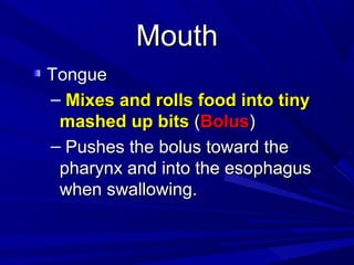 MouthMouth
TongueTongue
– Mixes and rolls food into tinyMixes and rolls food into tiny
mashed up bitsmashed up bits ((BolusBolus))
– Pushes the bolus toward thePushes the bolus toward the
pharynx and into the esophaguspharynx and into the esophagus
when swallowing.when swallowing.
 