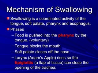 Mechanism of SwallowingMechanism of Swallowing
Swallowing is a coordinated activity of theSwallowing is a coordinated activity of the
tongue, soft palate, pharynx and esophagus.tongue, soft palate, pharynx and esophagus.
PhasesPhases
– Food is pushed into theFood is pushed into the pharynxpharynx by theby the
tongue. (voluntary)tongue. (voluntary)
– Tongue blocks the mouthTongue blocks the mouth
– Soft palate closes off the noseSoft palate closes off the nose
– Larynx (Adam’s Apple) rises so theLarynx (Adam’s Apple) rises so the
EpiglottisEpiglottis (a flap of tissue) can close the(a flap of tissue) can close the
opening of the trachea.opening of the trachea.
 