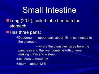 Small IntestineSmall Intestine
Long (20 ft), coiled tube beneath theLong (20 ft), coiled tube beneath the
stomach.stomach.
Has three parts:Has three parts:
Duodenum – upper part; about 10 in; connected toDuodenum – upper part; about 10 in; connected to
the stomach.the stomach.
–– where the digestive juices from thewhere the digestive juices from the
pancreas and the liver combine with chymepancreas and the liver combine with chyme
making it thin and watery.making it thin and watery.
Jejunum – about 8 ftJejunum – about 8 ft
Ileum – about 12 ftIleum – about 12 ft
 
