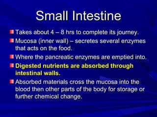 Small IntestineSmall Intestine
Takes about 4 – 8 hrs to complete its journey.Takes about 4 – 8 hrs to complete its journey.
Mucosa (inner wall) – secretes several enzymesMucosa (inner wall) – secretes several enzymes
that acts on the food.that acts on the food.
Where the pancreatic enzymes are emptied into.Where the pancreatic enzymes are emptied into.
Digested nutrients are absorbed throughDigested nutrients are absorbed through
intestinal walls.intestinal walls.
Absorbed materials cross the mucosa into theAbsorbed materials cross the mucosa into the
blood then other parts of the body for storage orblood then other parts of the body for storage or
further chemical change.further chemical change.
 