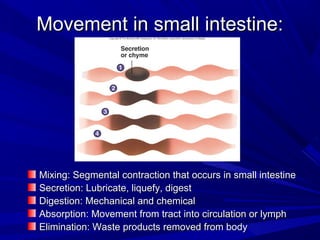 Movement in small intestine:Movement in small intestine:
Mixing: Segmental contraction that occurs in small intestineMixing: Segmental contraction that occurs in small intestine
Secretion: Lubricate, liquefy, digestSecretion: Lubricate, liquefy, digest
Digestion: Mechanical and chemicalDigestion: Mechanical and chemical
Absorption: Movement from tract into circulation or lymphAbsorption: Movement from tract into circulation or lymph
Elimination: Waste products removed from bodyElimination: Waste products removed from body
 