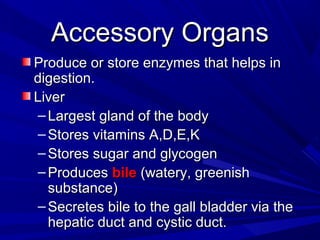 Accessory OrgansAccessory Organs
Produce or store enzymes that helps inProduce or store enzymes that helps in
digestion.digestion.
LiverLiver
– Largest gland of the bodyLargest gland of the body
– Stores vitamins A,D,E,KStores vitamins A,D,E,K
– Stores sugar and glycogenStores sugar and glycogen
– ProducesProduces bilebile (watery, greenish(watery, greenish
substance)substance)
– Secretes bile to the gall bladder via theSecretes bile to the gall bladder via the
hepatic duct and cystic duct.hepatic duct and cystic duct.
 