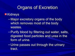 Organs of ExcretionOrgans of Excretion
KidneysKidneys
– Major excretory organs of the bodyMajor excretory organs of the body
which removes most of the bodywhich removes most of the body
wastes.wastes.
– Purify blood by filtering out water, salts,Purify blood by filtering out water, salts,
digested food particles and urea in thedigested food particles and urea in the
form of urine.form of urine.
– Urine passes out through the urinaryUrine passes out through the urinary
tract.tract.
 