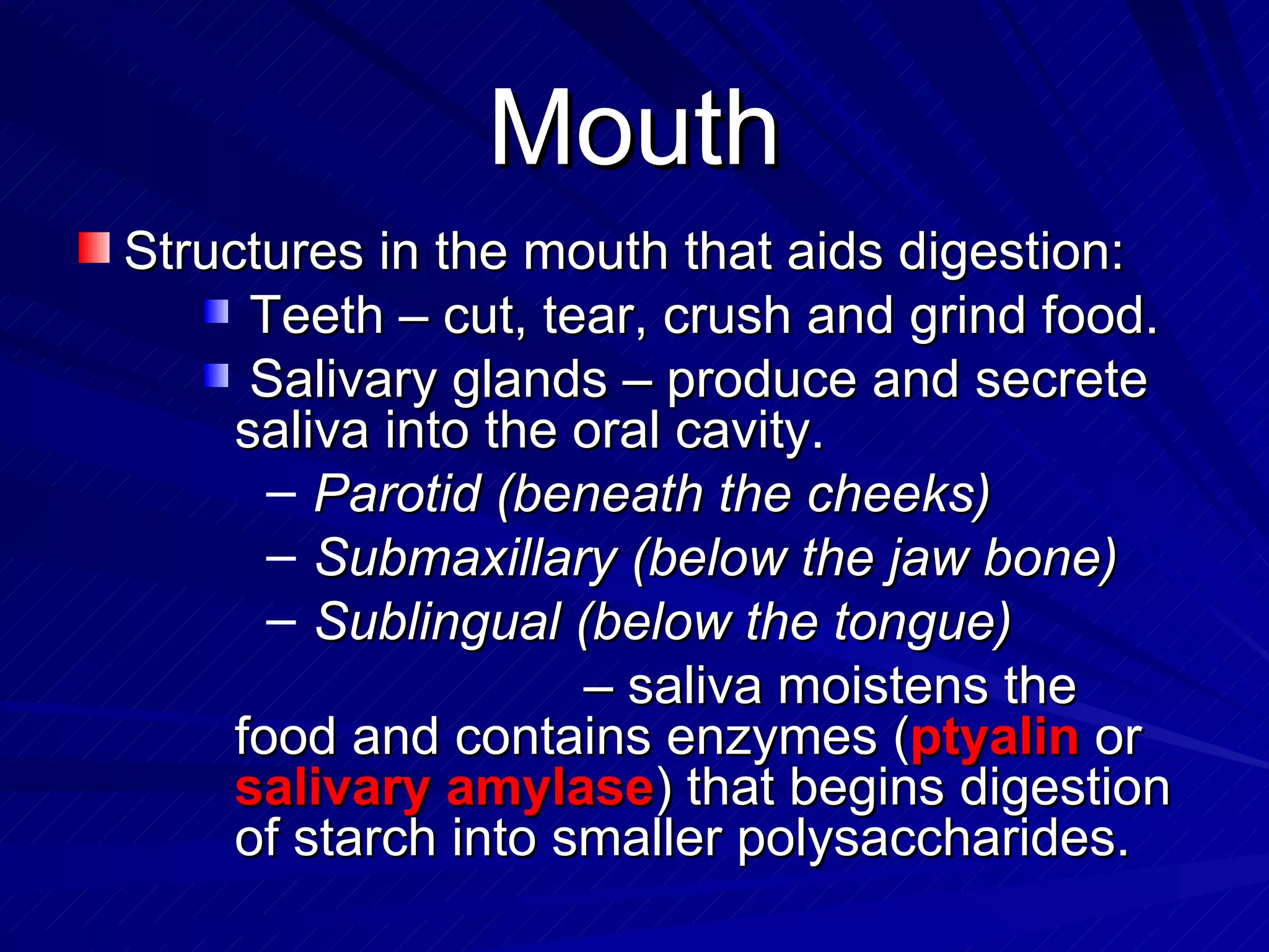 Mouth Structures in the mouth that aids digestion: Teeth – cut, tear, crush and grind food. Salivary glands – produce and secrete saliva into the oral cavity.  Parotid (beneath the cheeks) Submaxillary (below the jaw bone) Sublingual (below the tongue) –  saliva moistens the food and contains enzymes ( ptyalin  or  salivary   amylase ) that begins digestion of starch into smaller polysaccharides. 