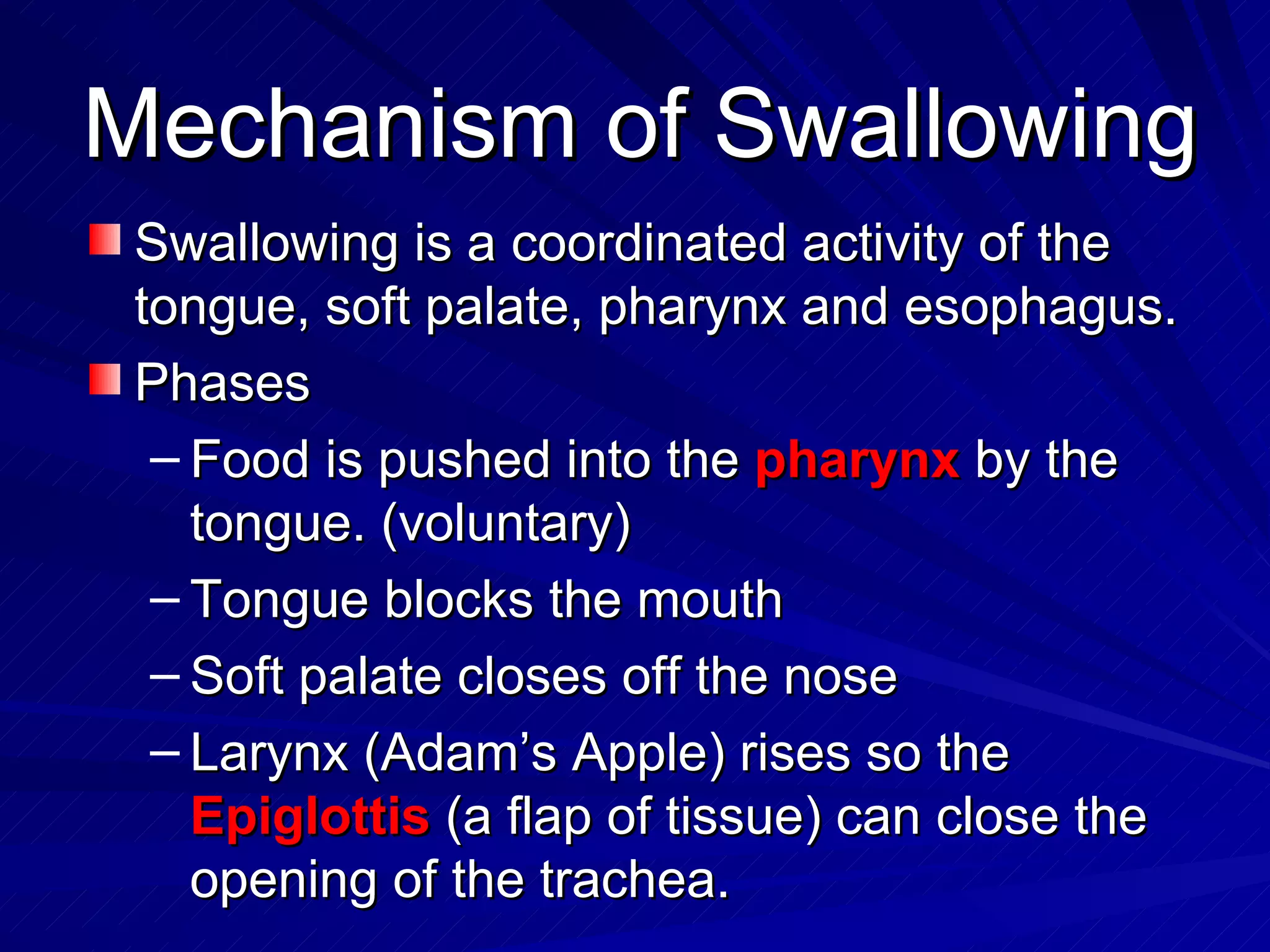 Mechanism of Swallowing Swallowing is a coordinated activity of the tongue, soft palate, pharynx and esophagus. Phases Food is pushed into the  pharynx  by the tongue. (voluntary)  Tongue blocks the mouth Soft palate closes off the nose Larynx (Adam’s Apple) rises so the  Epiglottis  (a flap of tissue) can close the opening of the trachea. 