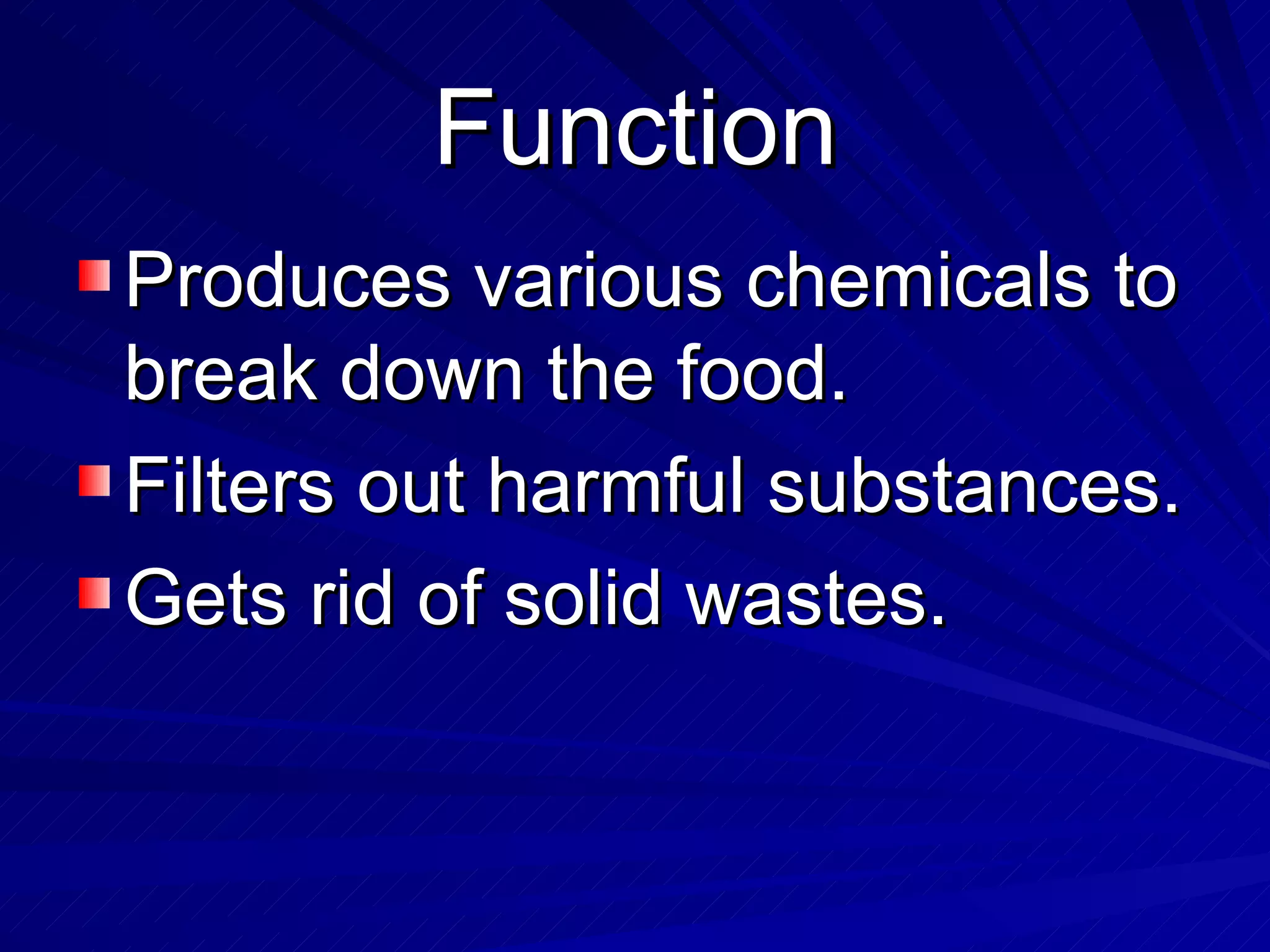 Function Produces various chemicals to break down the food. Filters out harmful substances. Gets rid of solid wastes. 