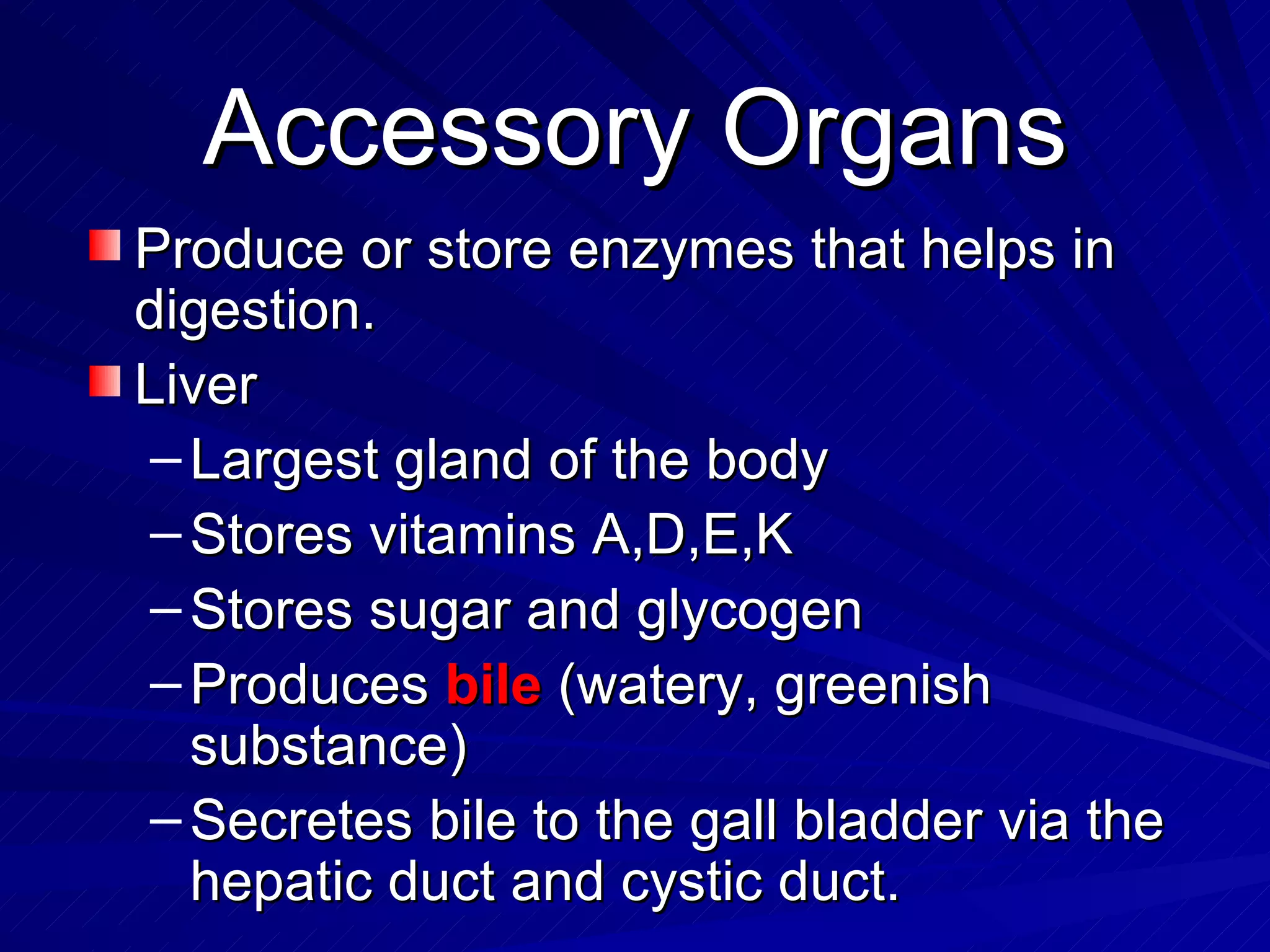 Accessory Organs Produce or store enzymes that helps in digestion.  Liver  Largest gland of the body Stores vitamins A,D,E,K  Stores sugar and glycogen Produces  bile  (watery, greenish substance)  Secretes bile to the gall bladder via the hepatic duct and cystic duct. 