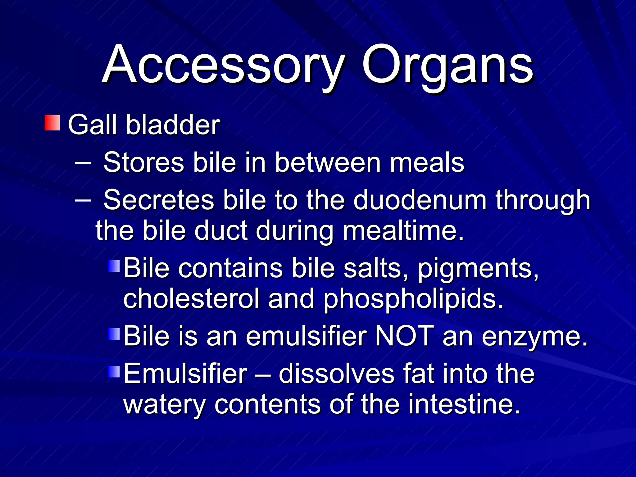 Accessory Organs Gall bladder  Stores bile in between meals Secretes bile to the duodenum through the bile duct during mealtime.  Bile contains bile salts, pigments, cholesterol and phospholipids. Bile is an emulsifier NOT an enzyme. Emulsifier – dissolves fat into the watery contents of the intestine. 