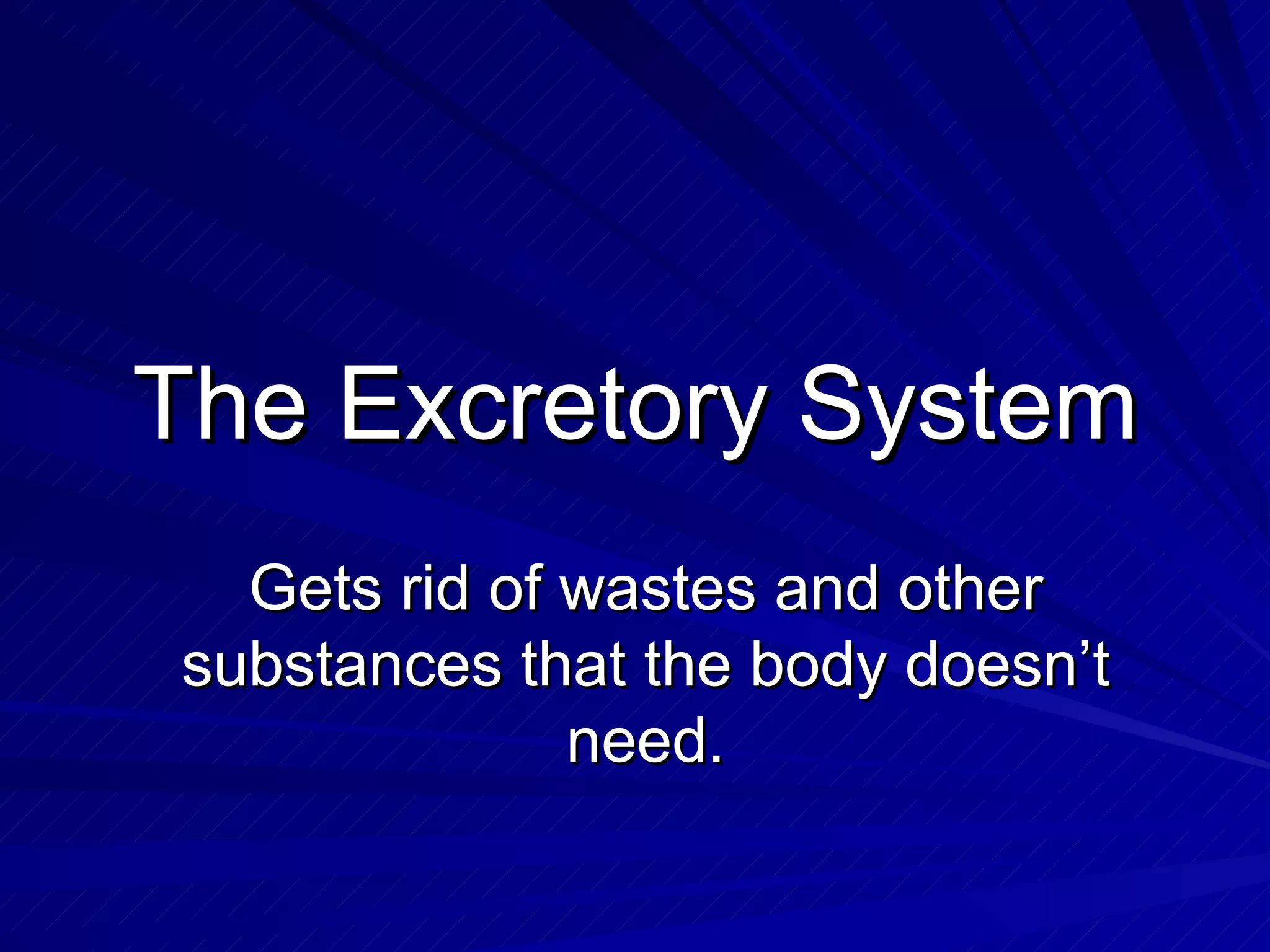 The Excretory System Gets rid of wastes and other substances that the body doesn’t need. 
