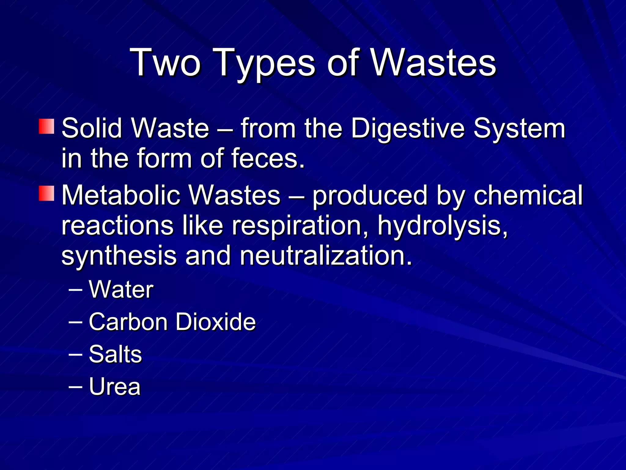 Two Types of Wastes Solid Waste – from the Digestive System in the form of feces. Metabolic Wastes – produced by chemical reactions like respiration, hydrolysis, synthesis and neutralization. Water Carbon Dioxide Salts  Urea 