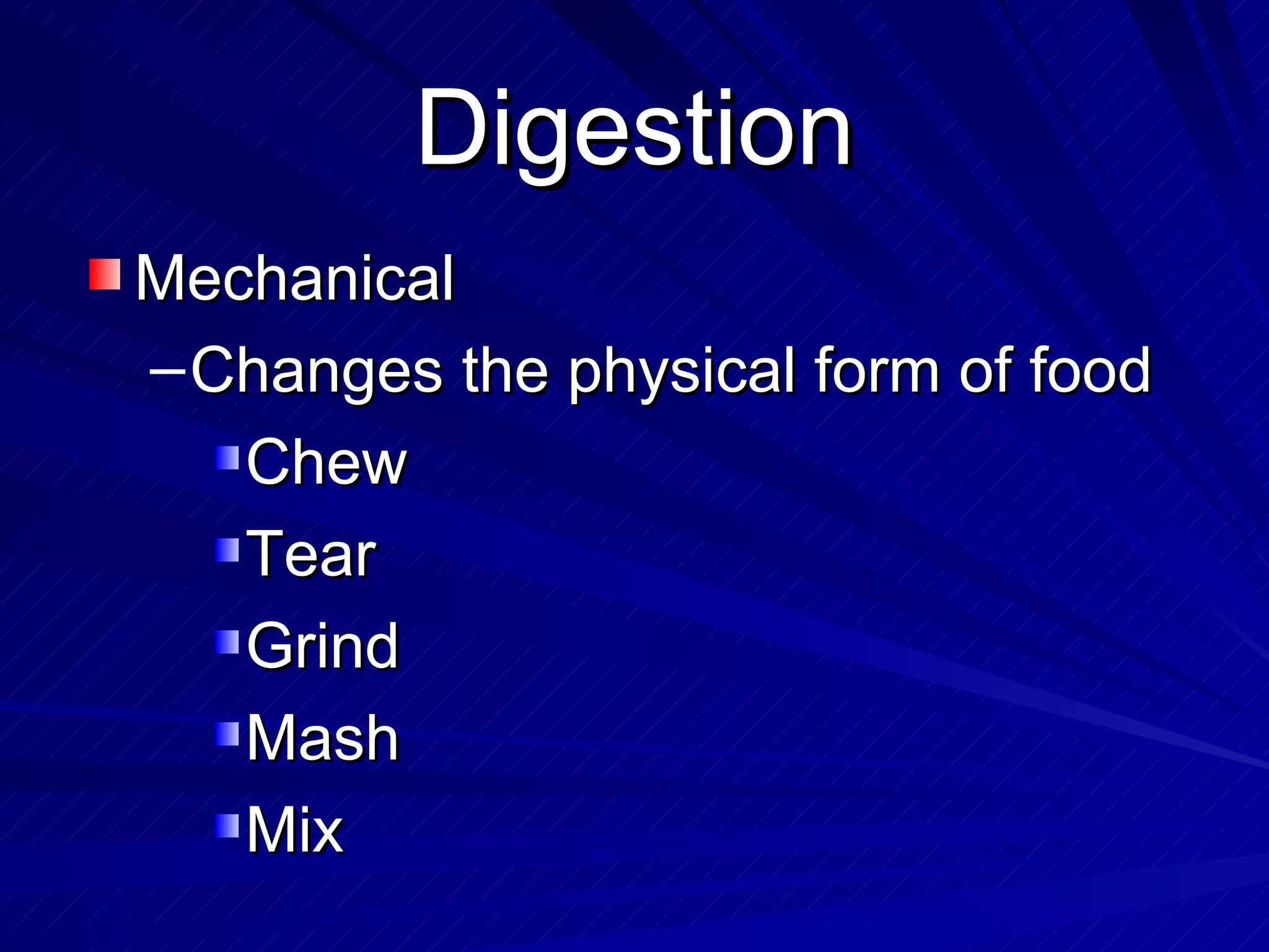 Digestion Mechanical Changes the physical form of food Chew  Tear Grind Mash Mix 