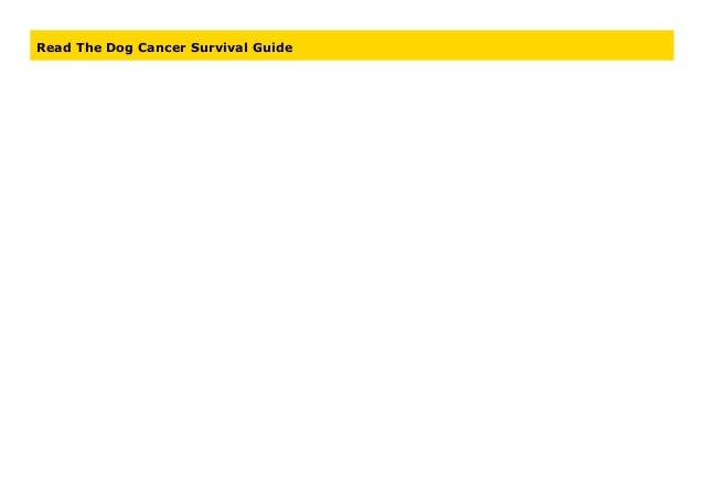 dog cancer survival guide