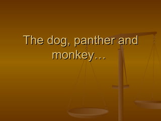 The dog, panther and monkey…  
