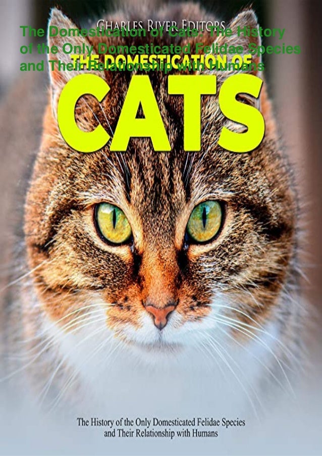 ⚡Read The Domestication of Cats The History of the Only Domesticated