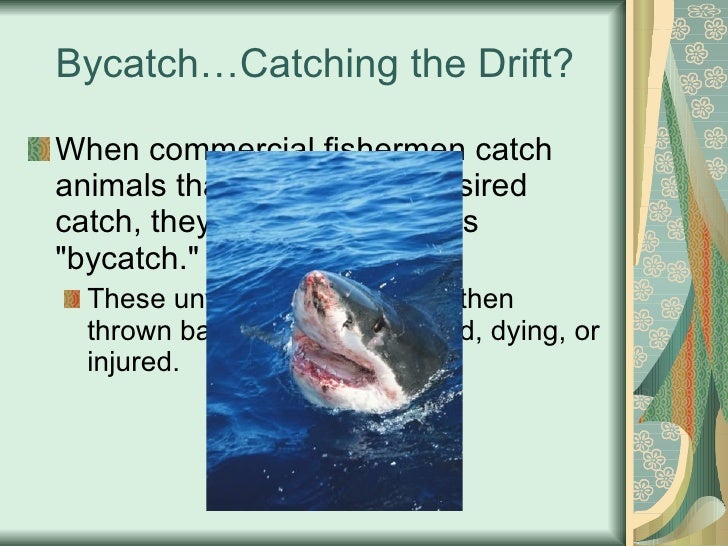 The Dying Ocean