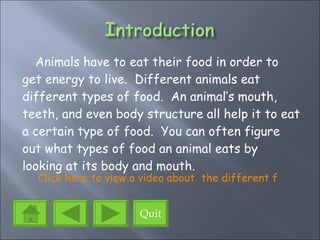 The Eating Habits Of Animals Ppt Project