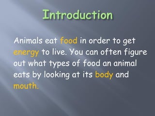 The eating-habits-of-animals-ppt-teeth