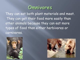 The eating-habits-of-animals-ppt-teeth | PPT