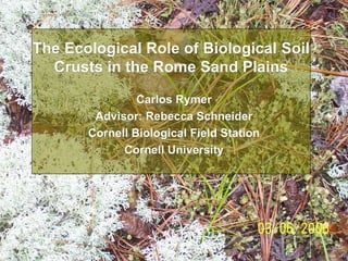 The Ecological Role of Biological Soil Crusts in the Rome Sand Plains Carlos Rymer Advisor: Rebecca Schneider Cornell Biological Field Station Cornell University 
