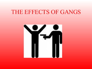 THE EFFECTS OF GANGS 