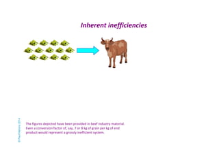 Inherent inefficiencies 
The figures depicted have been provided in beef industry material. 
Even a conversion factor of, say, 7 or 8 kg of grain per kg of end 
product would represent a grossly inefficient system. 
© Paul Mahony 2014 
 