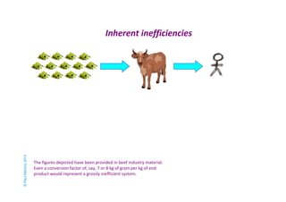 Inherent inefficiencies 
The figures depicted have been provided in beef industry material. 
Even a conversion factor of, say, 7 or 8 kg of grain per kg of end 
product would represent a grossly inefficient system. 
© Paul Mahony 2014 
 