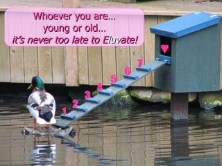 1 2 3 4 5 6 7 Whoever you are… young or old… it’s never too late to E luv ate! 