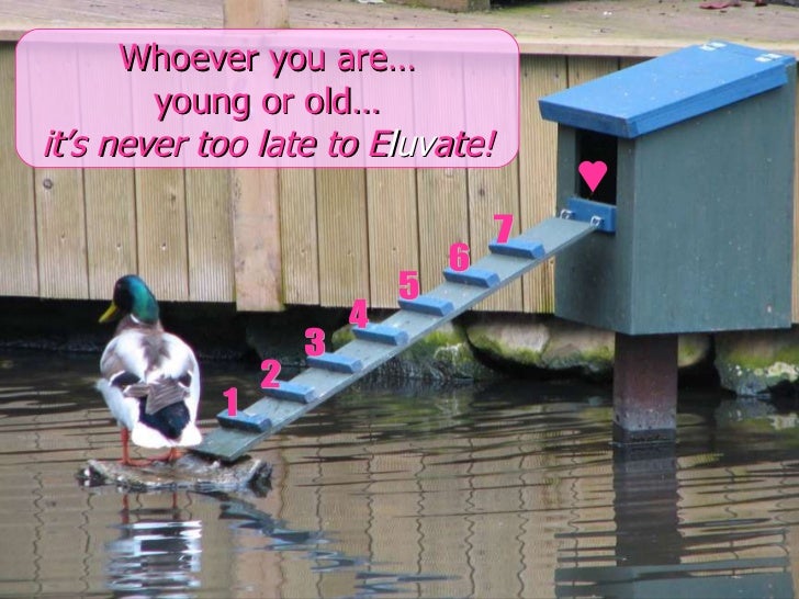 1 2 3 4 5 6 7 Whoever you are… young or old… it’s never too late to E luv ate! 
