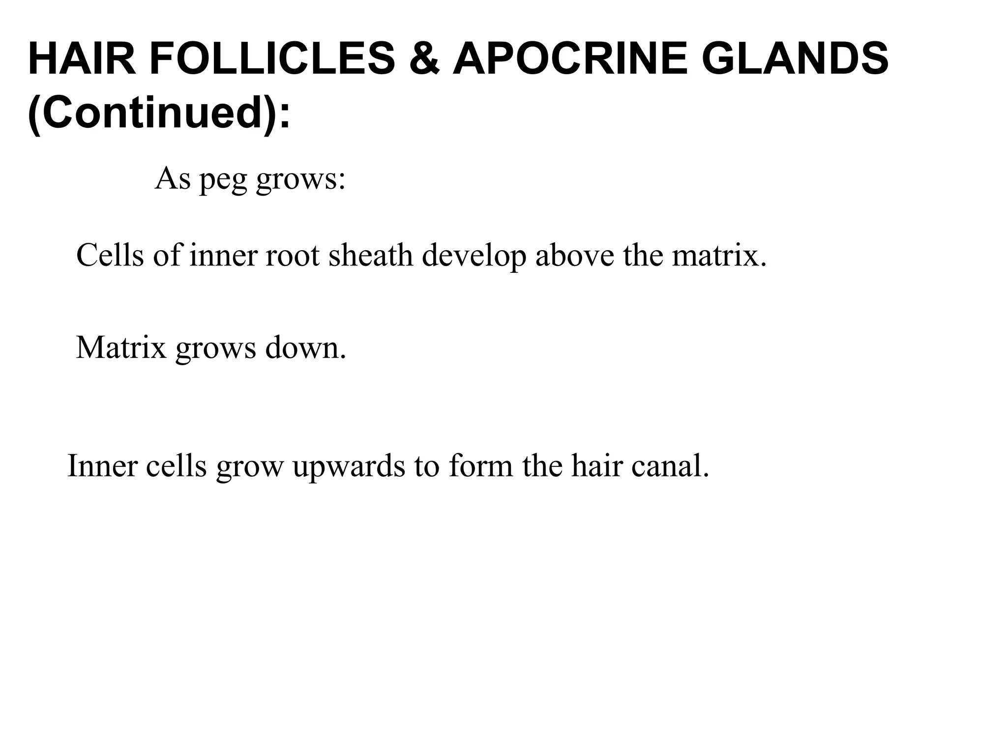 the-embryology-of-the-skin4618-160122105018.pptx