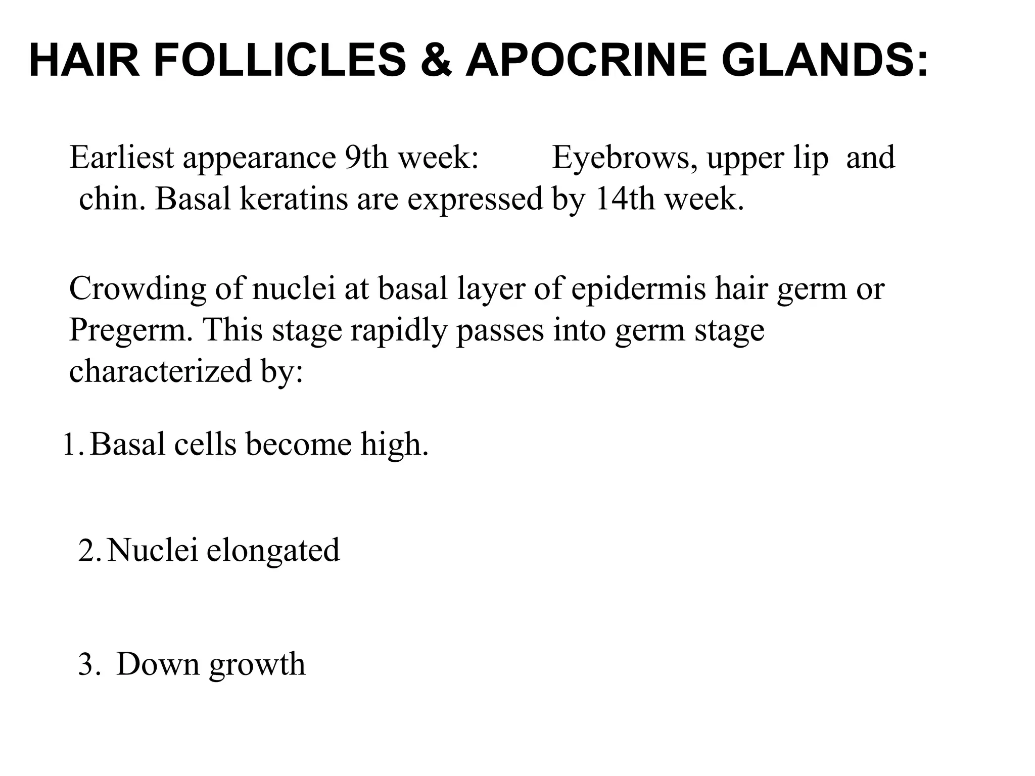 the-embryology-of-the-skin4618-160122105018.pptx