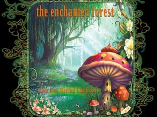the enchanted forest music from Stardust Llan Esheri 
