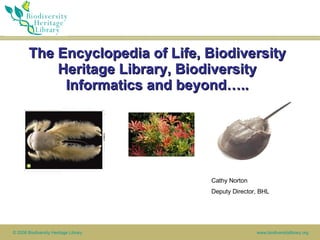 The Encyclopedia of Life, Biodiversity Heritage Library, Biodiversity Informatics and beyond….. MBLWHOI Library Cathy Norton Deputy Director, BHL 