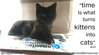 @bridgetkromhout #VoxxedMicroservices
“time
is what
turns
kittens
into
cats”
BtVS
 