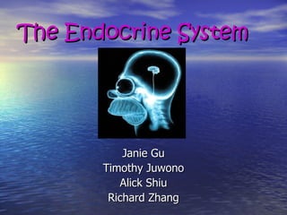 The Endocrine System ,[object Object],[object Object],[object Object],[object Object]