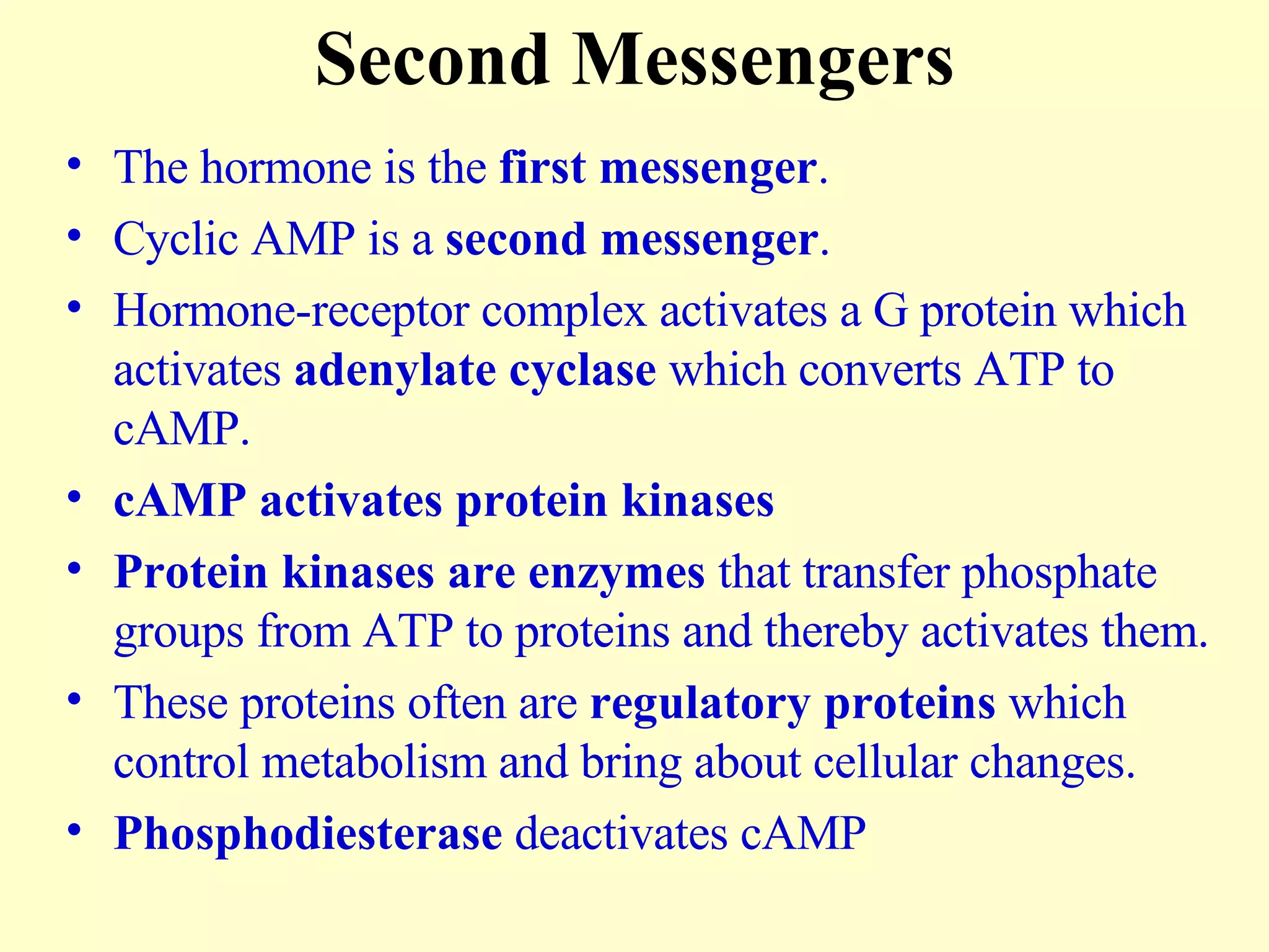 Second Messengers The hormone is the  first messenger . Cyclic AMP is a  second messenger . Hormone-receptor complex activates a G protein which activates  adenylate cyclase  which converts ATP to cAMP. cAMP activates protein kinases Protein kinases are enzymes  that transfer phosphate groups from ATP to proteins and thereby activates them. These proteins often are  regulatory proteins  which control metabolism and bring about cellular changes. Phosphodiesterase  deactivates cAMP 