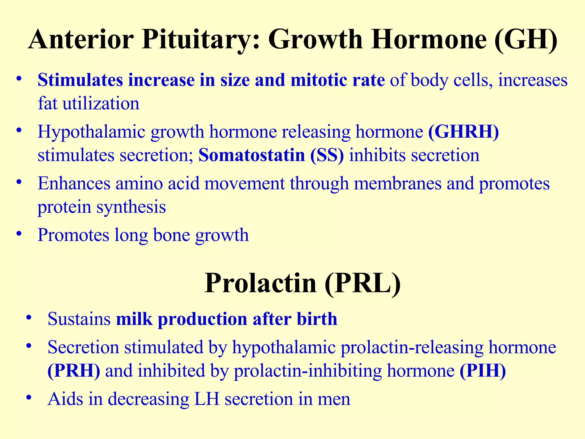 Anterior Pituitary: Growth Hormone (GH) Stimulates increase in size and mitotic rate  of body cells, increases fat utilization Hypothalamic growth hormone releasing hormone  (GHRH)  stimulates secretion;  Somatostatin (SS)  inhibits secretion Enhances amino acid movement through membranes and promotes protein synthesis Promotes long bone growth Prolactin (PRL) Sustains  milk production after birth Secretion stimulated by hypothalamic prolactin-releasing hormone  (PRH)  and inhibited by prolactin-inhibiting hormone  (PIH) Aids in decreasing LH secretion in men 