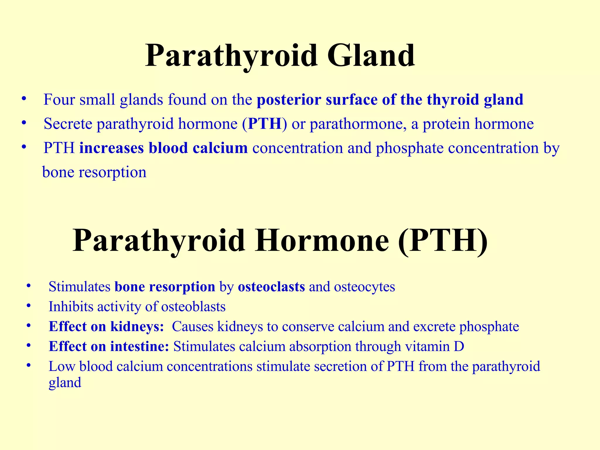 Parathyroid Hormone (PTH) Stimulates  bone resorption  by  osteoclasts  and osteocytes Inhibits activity of osteoblasts Effect on kidneys:  Causes kidneys to conserve calcium and excrete phosphate Effect on intestine:  Stimulates calcium absorption through vitamin D Low blood calcium concentrations stimulate secretion of PTH from the parathyroid gland Four small glands found on the  posterior surface of the thyroid gland Secrete parathyroid hormone ( PTH ) or parathormone, a protein hormone PTH  increases blood calcium  concentration and phosphate concentration by  bone resorption Parathyroid Gland 