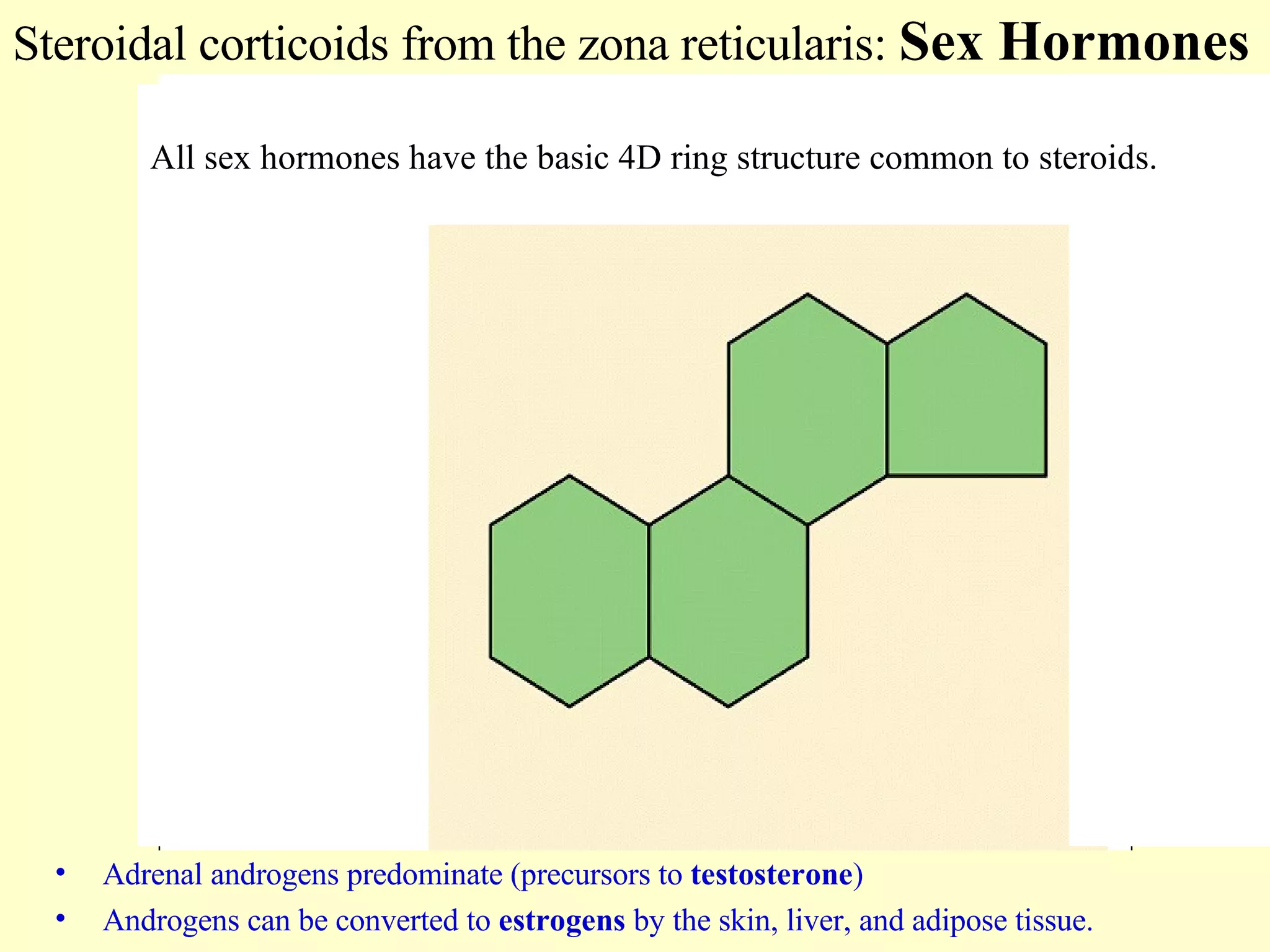 Steroidal corticoids from the zona reticularis:  Sex Hormones Adrenal androgens predominate (precursors to  testosterone ) Androgens can be converted to  estrogens  by the skin, liver, and adipose tissue. All sex hormones have the basic 4D ring structure common to steroids. 