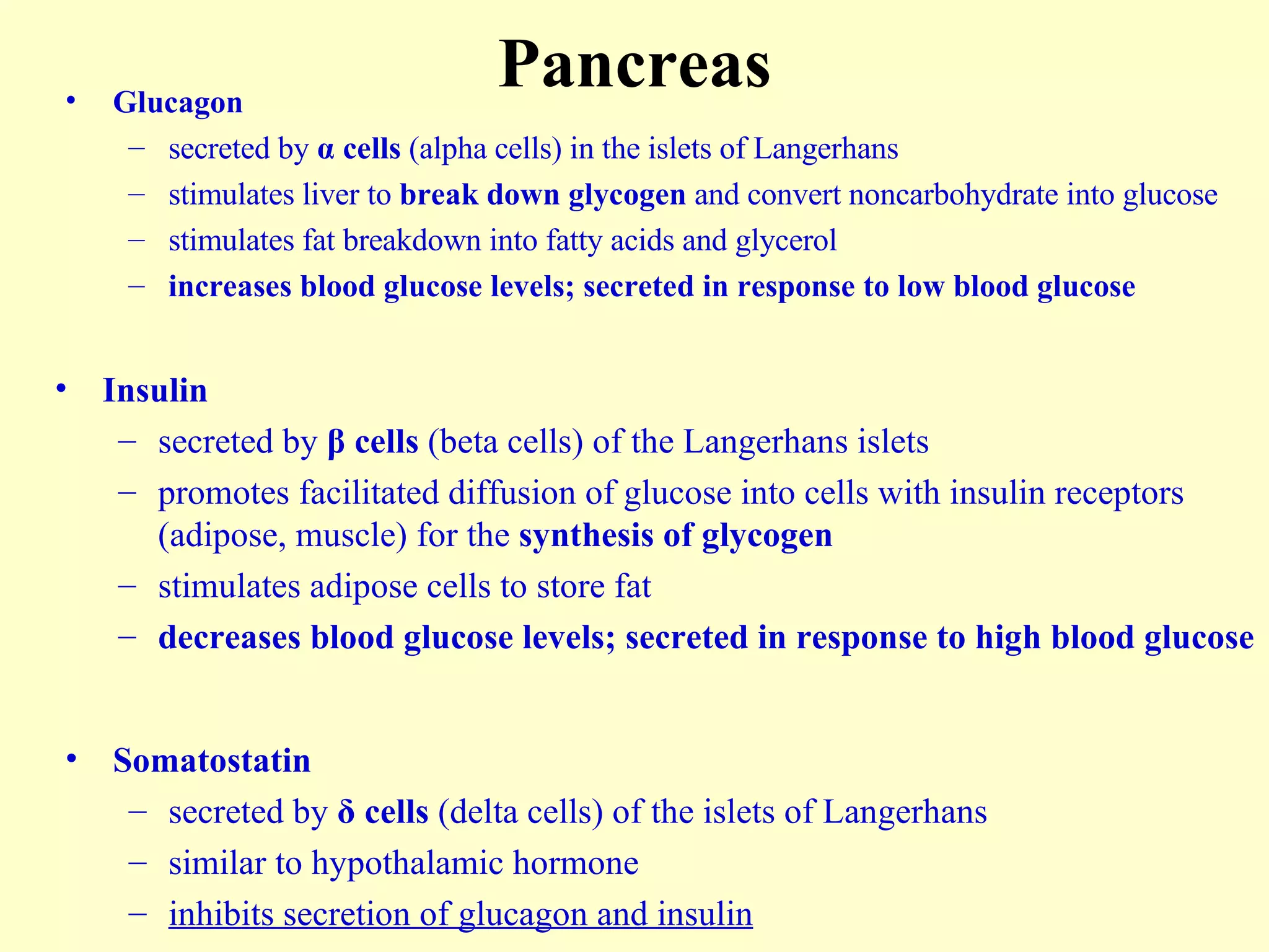 Pancreas Glucagon secreted by  α   cells  (alpha cells) in the islets of Langerhans stimulates liver to  break down glycogen  and convert noncarbohydrate into glucose stimulates fat breakdown into fatty acids and glycerol increases blood glucose levels; secreted in response to low blood glucose Insulin secreted by  β  cells  (beta cells) of the Langerhans islets promotes facilitated diffusion of glucose into cells with insulin receptors (adipose, muscle) for the  synthesis of glycogen stimulates adipose cells to store fat decreases blood glucose levels; secreted in response to high blood glucose Somatostatin secreted by  δ  cells  ( delta cells) of the islets of Langerhans similar to hypothalamic hormone inhibits secretion of glucagon and insulin 